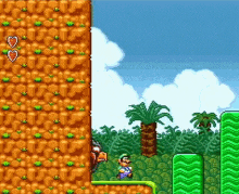Super Mario Bros2 Roopert GIF