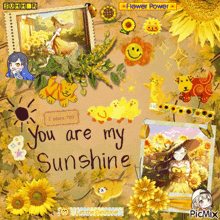 a collage of yellow flowers with the words " you are my sunshine " on it