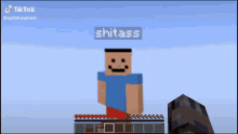 Shitass GIF - Shitass GIFs