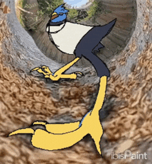 a drawing of a bird with ibis paint written below it