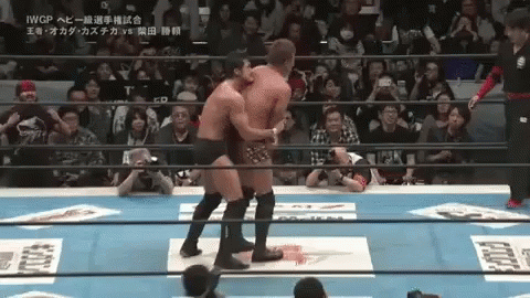 shibata-okada.gif