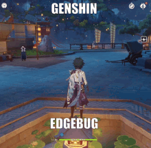 Genshin Impact Genshin GIF - Genshin Impact Genshin Edgebug GIFs