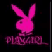 playgirl bunny