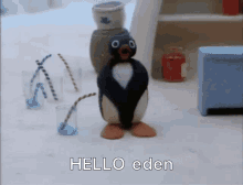 Hello Eden Eden GIF - Hello Eden Eden Pingu GIFs