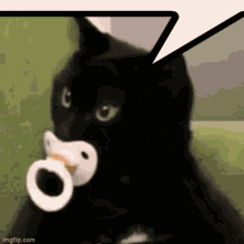 Cat Pacifier GIF - Cat Pacifier Illouca GIFs