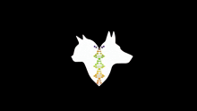 a logo for pet csi tv with a cat and a dog on a black background