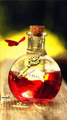 love bottle key butterfly potion