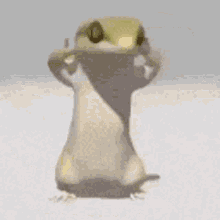 Lizard Dancing Lizard GIF - Lizard Dancing Lizard Dance Moves GIFs