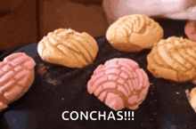 Conchas Diet GIF - Conchas Diet Pan Dulce GIFs