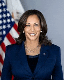 kamala harris is wearing a blue jacket and pearl necklace and smiling in front of an american flag .