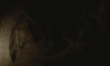 a bat is carved into the wall of a cave in the dark .