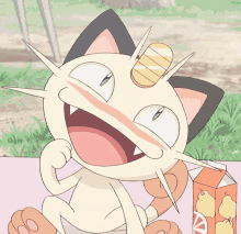 meowth salchipapu pokemon cat blush