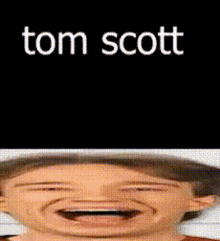 Tom Scott Tom Scott Shitpost GIF - Tom Scott Tom Scott Shitpost Scott GIFs