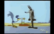 Road Runner Snatch GIF - Road Runner Snatch Coyote GIFs