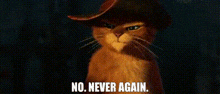 Puss In Boots No Never Again GIF - Puss In Boots No Never Again Never Again GIFs