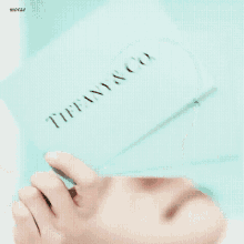 Tiffanyandco Tiffanynco GIF - Tiffanyandco Tiffanynco Tinsuki GIFs