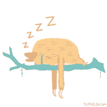 Sloth Sleep GIF - Sloth Sleep GIFs