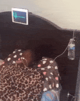 Life Support Waterbottle GIF - Life Support Waterbottle Bed GIFs