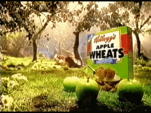 Apple Wheats Kelloggs GIF