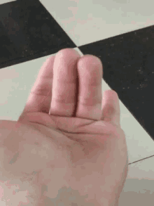 Finger Fuck You GIF - Finger Fuck You GIFs