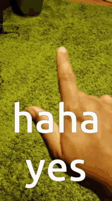 Haha Yes Point GIF - Haha Yes Point Down GIFs