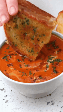 Herb Grilled Cheese Tomato Soup GIF