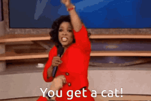 Oprah Cats GIF