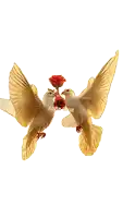 two birds are flying with one holding a rose in its beak and another holding another rose in its beak