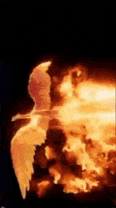 a silhouette of a person is surrounded by flames in the dark .