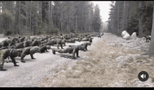 Army Military GIF - Army Military Push Up GIFs