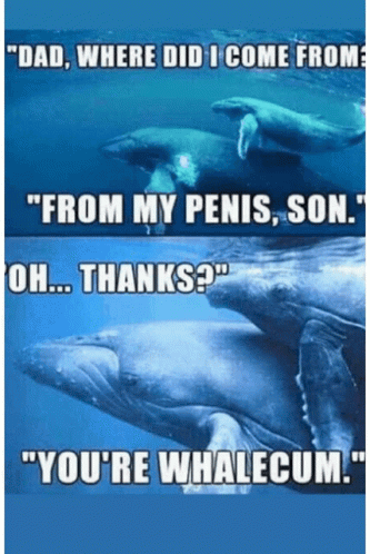 a picture of two whales with the caption " dad where did i come from from my penis son "