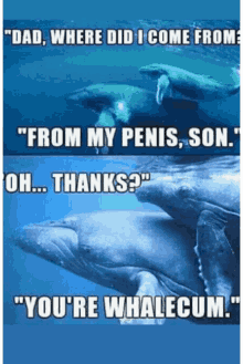 Whalecum Where Did Come From GIF - Whalecum Where Did Come From Penis GIFs