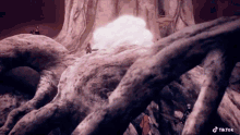 a person is standing in front of a large tree with a sword in their hand .