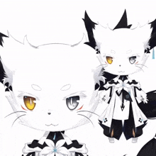 a white cat with black ears and a white flower on its chest