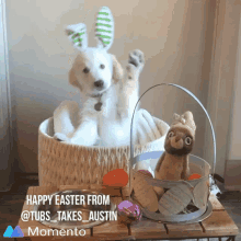 Happy Easter Dog GIF - Happy Easter Dog Golden GIFs