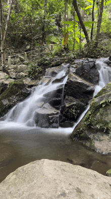 Waterfalls Water Stream GIF