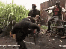 GIF