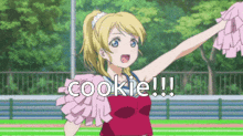 Eli Ayase Cookie GIF - Eli Ayase Cookie Cookiko GIFs