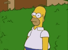 Homer Bushes GIF - Homer Bushes Simspons GIFs