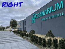 Oceanarium Right GIF - Oceanarium Right GIFs
