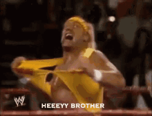 Heeeyy Brother GIF - Hey Brother Hulk Hogan Wwe GIFs