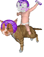 Pyth Pythnetwork Sticker