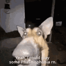 Phasmophobia Get On Phasmophobia GIF - Phasmophobia Get On Phasmophobia Gaming GIFs