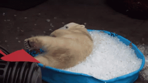Ice Cubes GIF - Ice Cubes GIFs