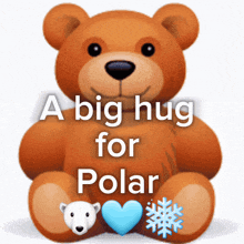 a teddy bear with the words a big hug for polar written on it