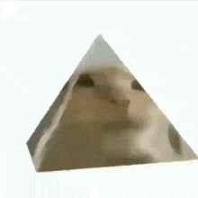 Cat Pyramid GIF - Cat Pyramid Cat Dance GIFs