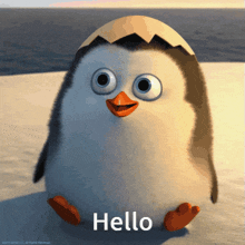 Hello Penguin GIF - Hello Penguin Penguin GIFs