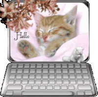 Hello Cat Sticker - Hello Cat Cute Stickers