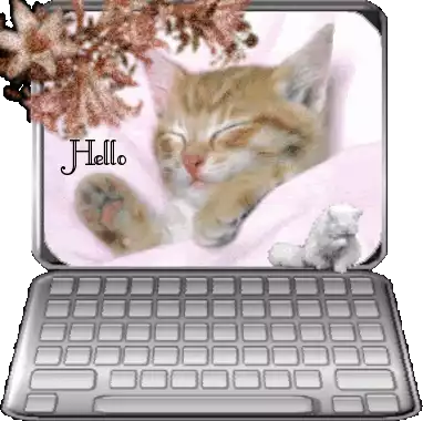 Hello Cat Sticker - Hello Cat Cute Stickers