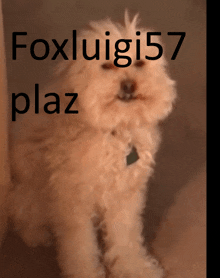 Foxluigi57plaz GIF - Foxluigi57plaz GIFs